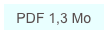 PDF 1,3 Mo