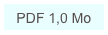 PDF 1,0 Mo