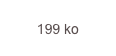 199 ko