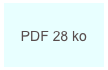 PDF 28 ko