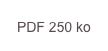 PDF 250 ko