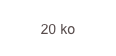 20 ko