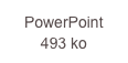 PowerPoint 493 ko