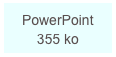 PowerPoint 355 ko