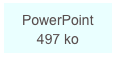 PowerPoint 497 ko