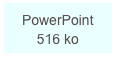 PowerPoint 516 ko