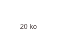 20 ko