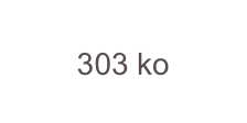 303 ko